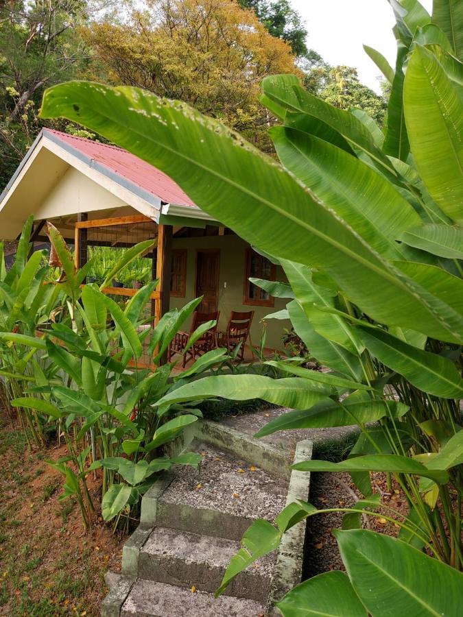 Cabina Rancho la Merced Uvita Exterior foto